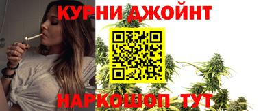 прущие крисы Будённовск