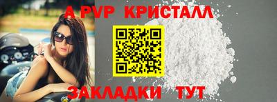 прущие крисы Будённовск