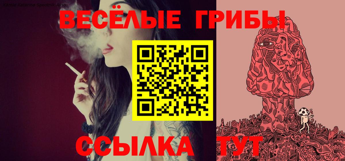 Псилоцибиновые грибы прущие грибы Рузаевка