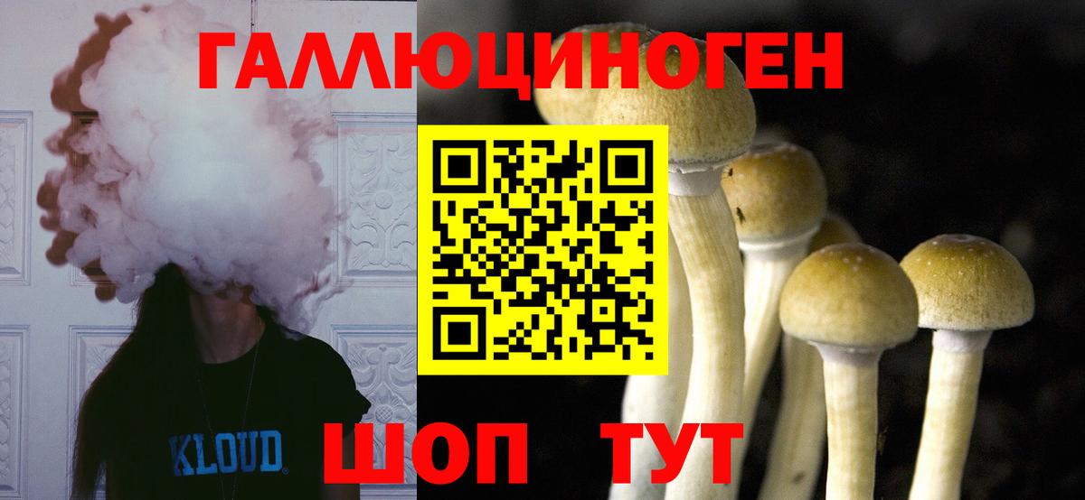 Рузаевка  Псилоцибиновые грибы GOLDEN TEACHER  Вход с VPN 